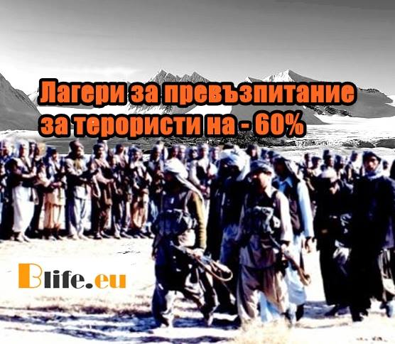 Лагери за превъзпитание за терористи на - 60%