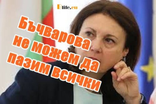Бъчварова: Не можем да пазим всички Българи