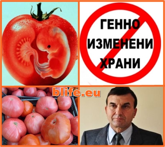 ЕС забранява родните сортове домати