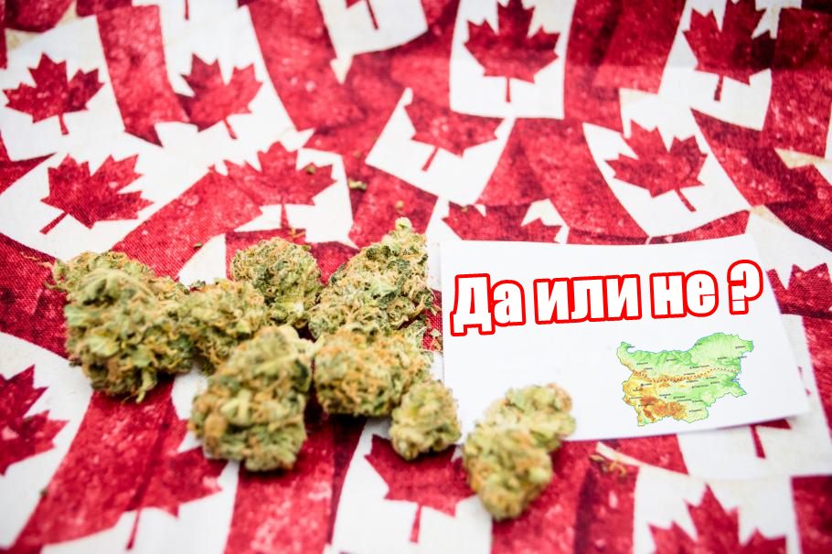 Канада легализира марихуана
