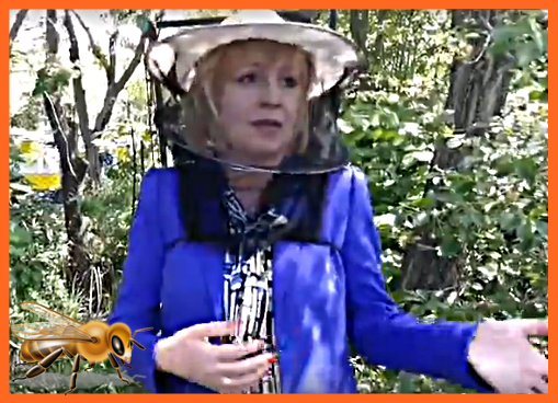 Мая Манолова за проблемите на пчеларите! 